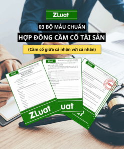 Bộ mẫu VĂN BẢN THẾ CHẤP TÀI SẢN TƯ NHÂN và HƯỚNG DẪN