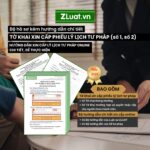 Bộ mẫu CẤP LÝ LỊCH TƯ PHÁP viết tay PHÁP LÝ TỐT NHẤT, điền vào MẪU SẴN và HƯỚNG DẪN