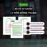 Bộ hồ sơ Ly hôn thuận tình (ly hôn đồng thuận) kèm hướng dẫn
