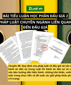 Tiểu luận đấu giá: Quy định của pháp luật về đấu giá tài sản thi hành án dân sự