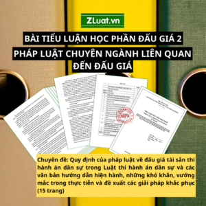 Tiểu luận đấu giá: Quy định của pháp luật về đấu giá tài sản thi hành án dân sự