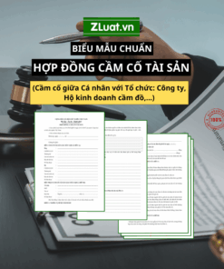 Mẫu văn bản cầm cố tài sản cá nhân cho tổ chức: Doanh nghiệp, hộ kinh doanh cầm cố,...