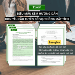 Mẫu đơn yêu cầu tuyên bố vợ – chồng mất tích kèm Hướng dẫn