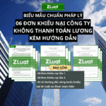 ĐƠN KHIẾU NẠI CÔNG TY KHÔNG THANH TOÁN LƯƠNG CHO NGƯỜI LAO ĐỘNG